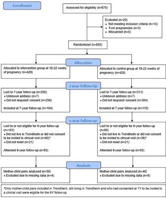 Associations between maternal and offspring glucose metabolism: a 9-year follow-up of a randomised controlled trial